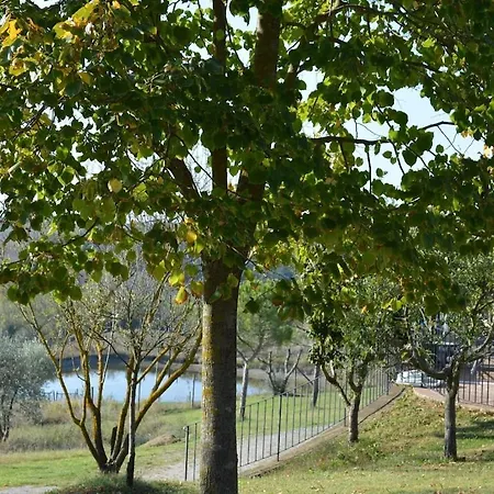 Tuscan Retreat In Montalceto Apartment Serre Di Rapolano