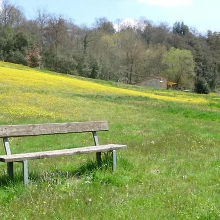 Tuscan Retreat In Montalceto * Serre Di Rapolano