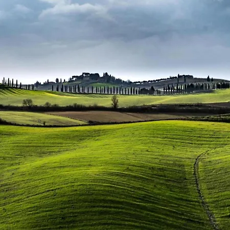 Apartment Tuscan Retreat In Montalceto *